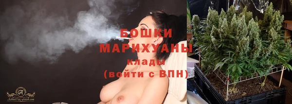тгк Гусь-Хрустальный