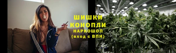 винт Гусиноозёрск