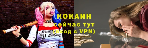 меф Вяземский